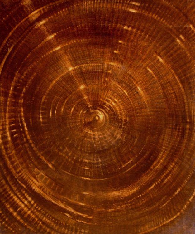 Spirale, 1994 - olio su tela, 120 x 100 cm